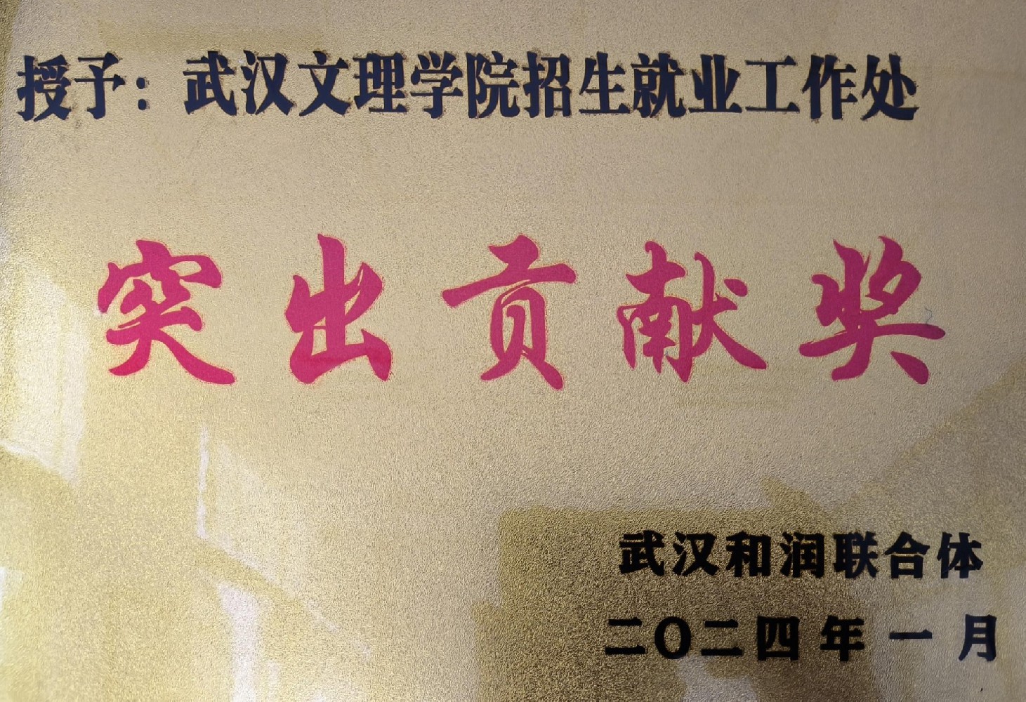 武汉文理学院所得荣誉