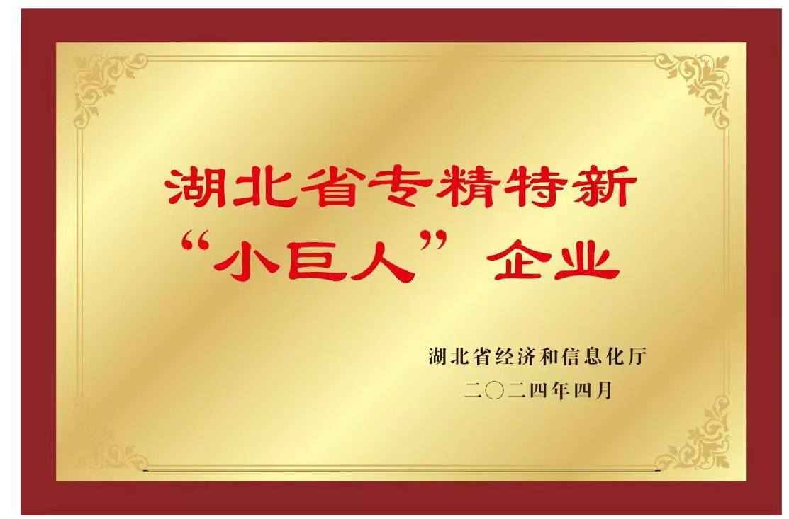 武汉中科牛津波谱技术有限公司所得荣誉