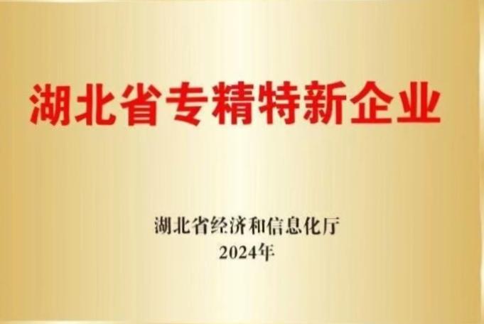 武汉中科牛津波谱技术有限公司所得荣誉
