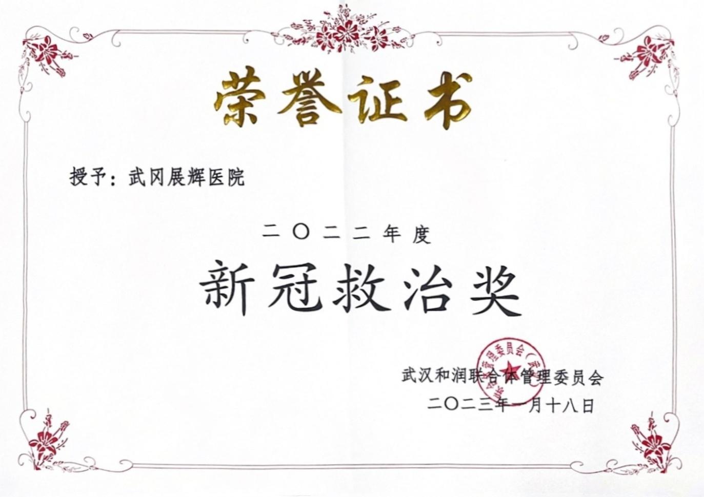 武冈展辉医院所得荣誉