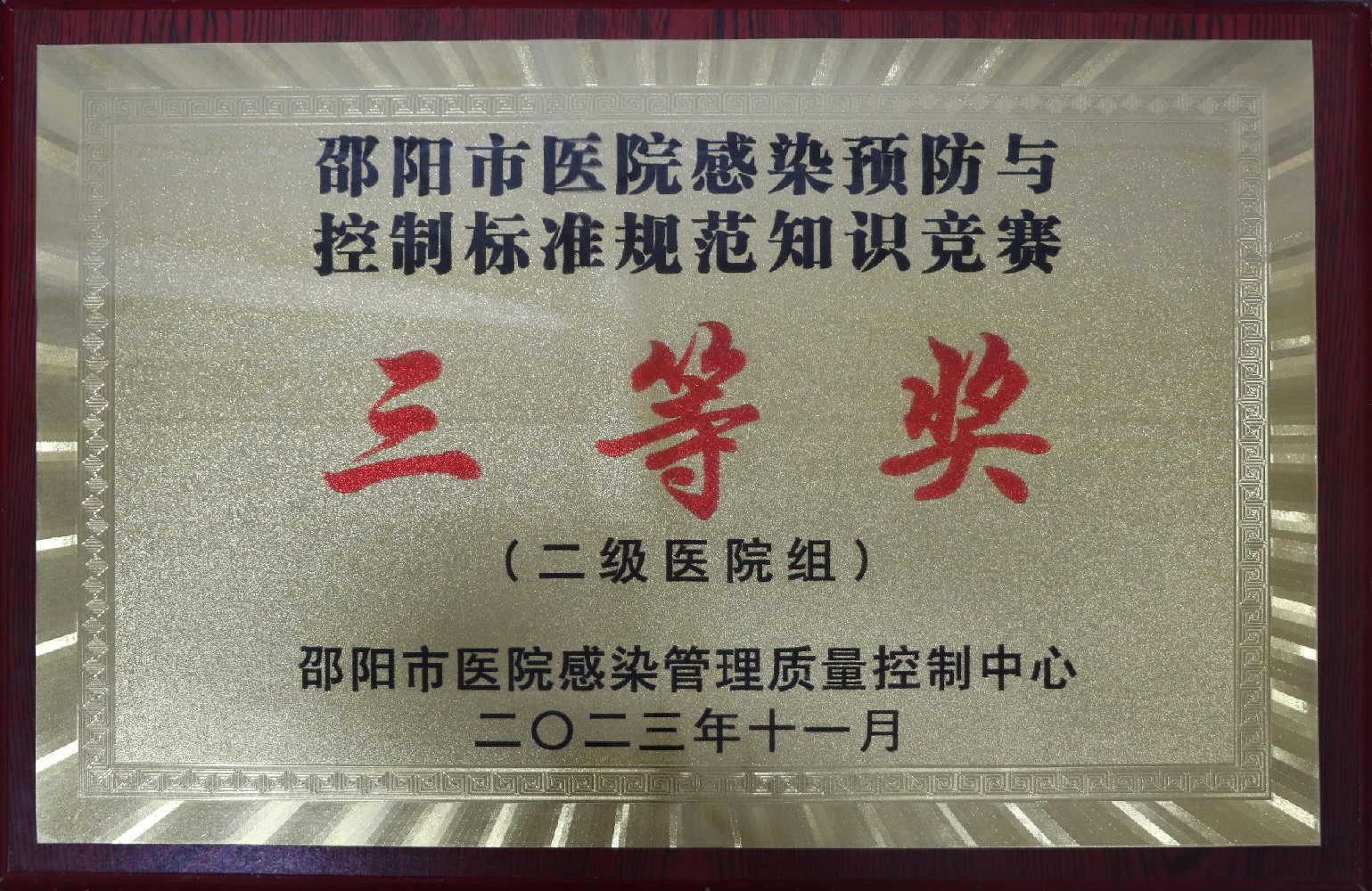 武冈展辉医院所得荣誉