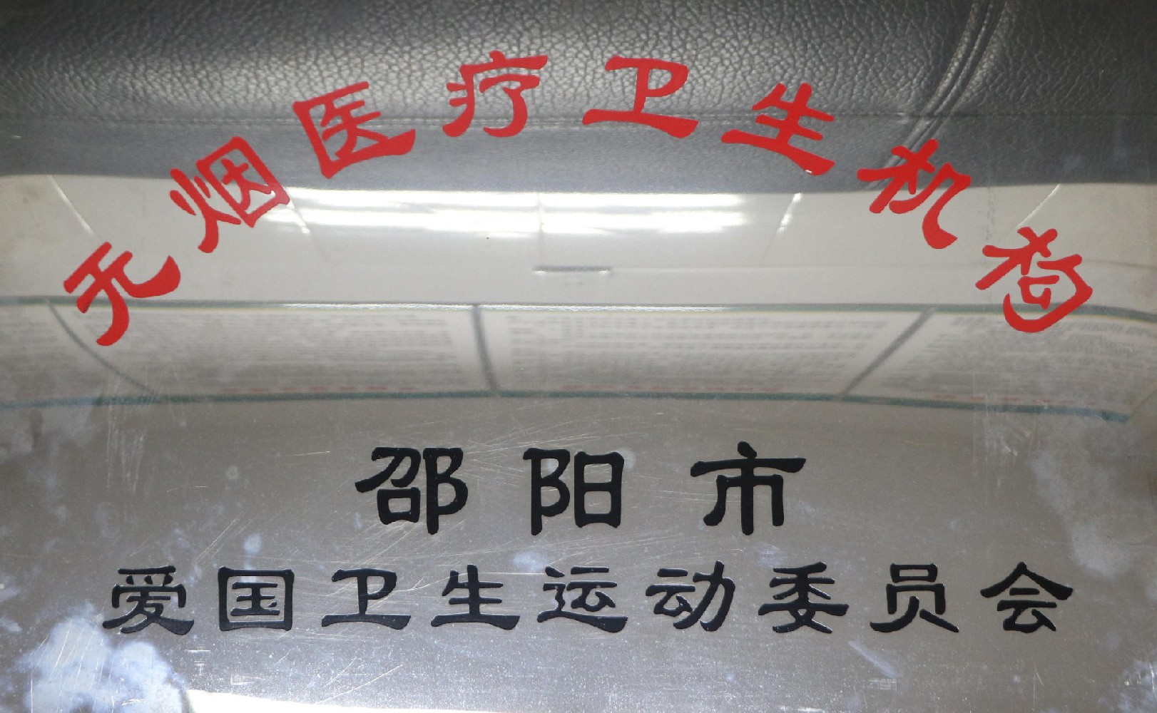 武冈展辉医院所得荣誉