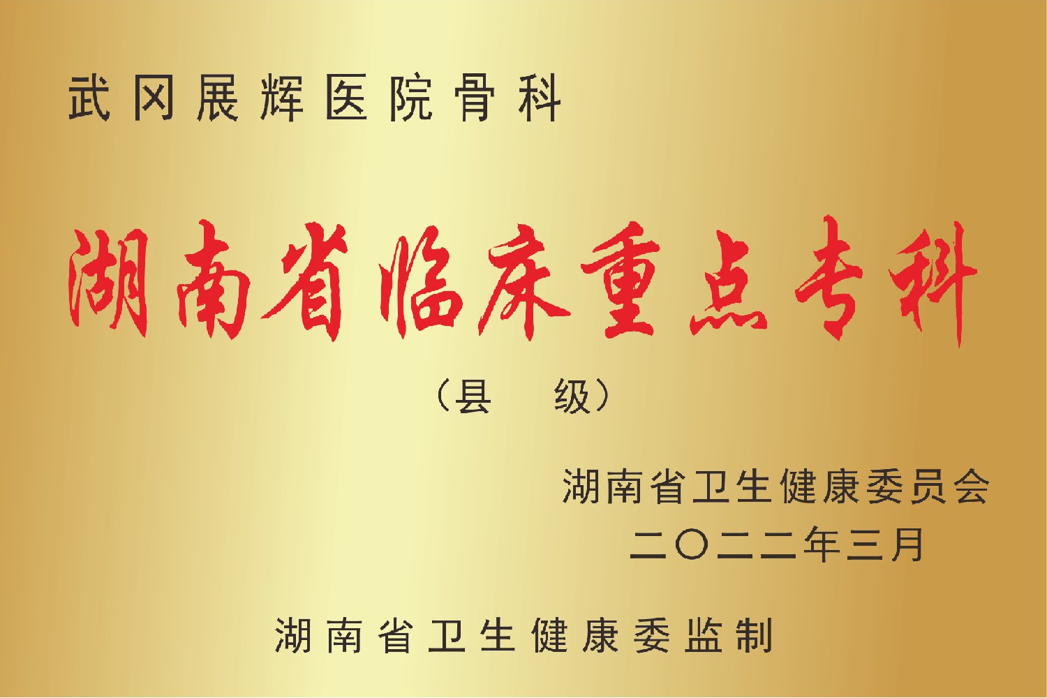武冈展辉医院所得荣誉