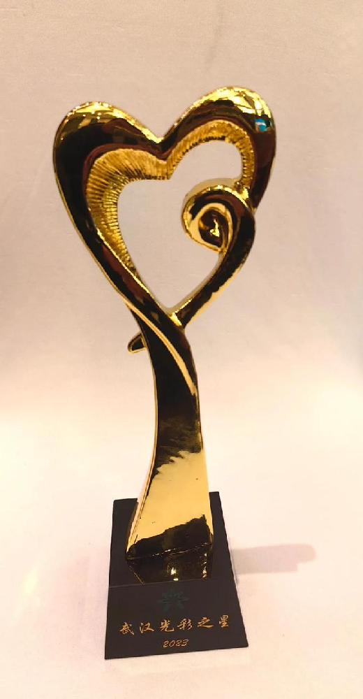 联合体管委会主任张芾被评为“武汉光彩之星”