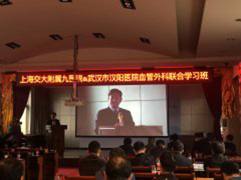 汉阳医院组织国内领先的血管外科手术观摩及专题学习会