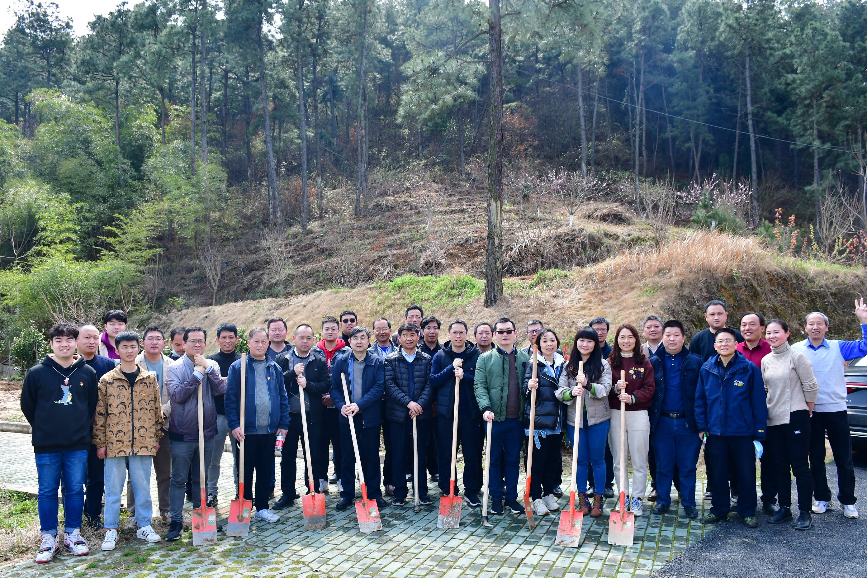 植绿正当时 笑在坡寨山——武汉和润员工坡寨山植树活动剪影