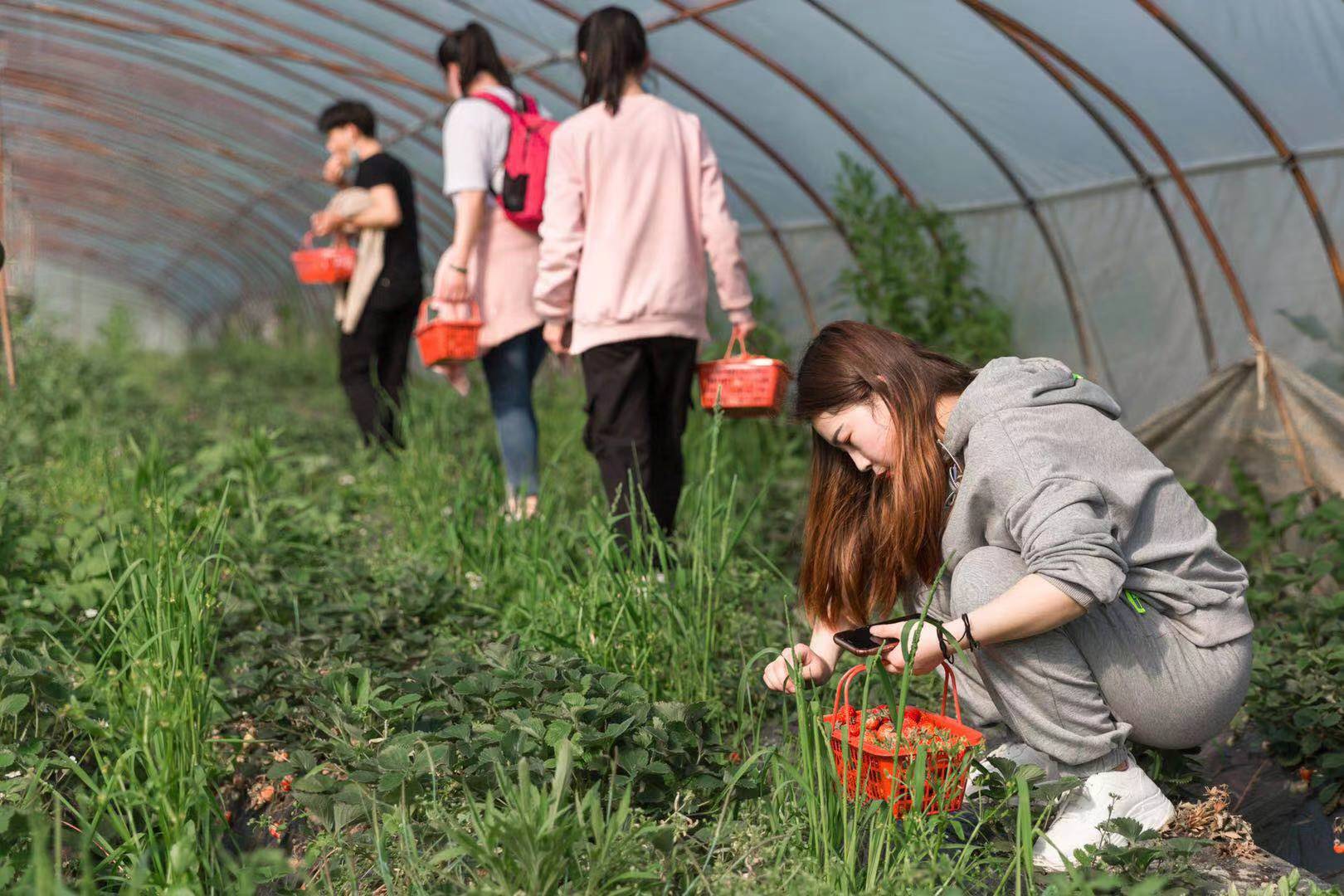 阳春三月春色浓 外出踏青正当时——汉阳医院工团组织员工开展春